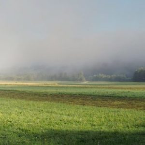 Купить участок в Новосибирске