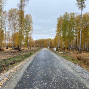 Сибирские просторы